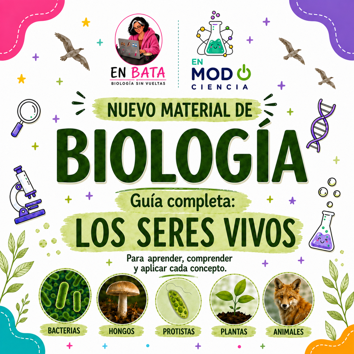 CARACTERÍSTICAS DE LOS SERES VIVOS - GUÍA TEÓRICA/ PRÁCTICA