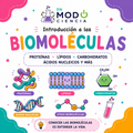 INTRODUCCIÓN A LAS BIOMOLÉCULAS- GUÍA TEÓRICA/PRÁCTICA