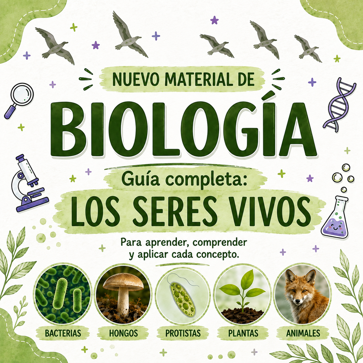 CARACTERÍSTICAS DE LOS SERES VIVOS - GUÍA TEÓRICA/ PRÁCTICA