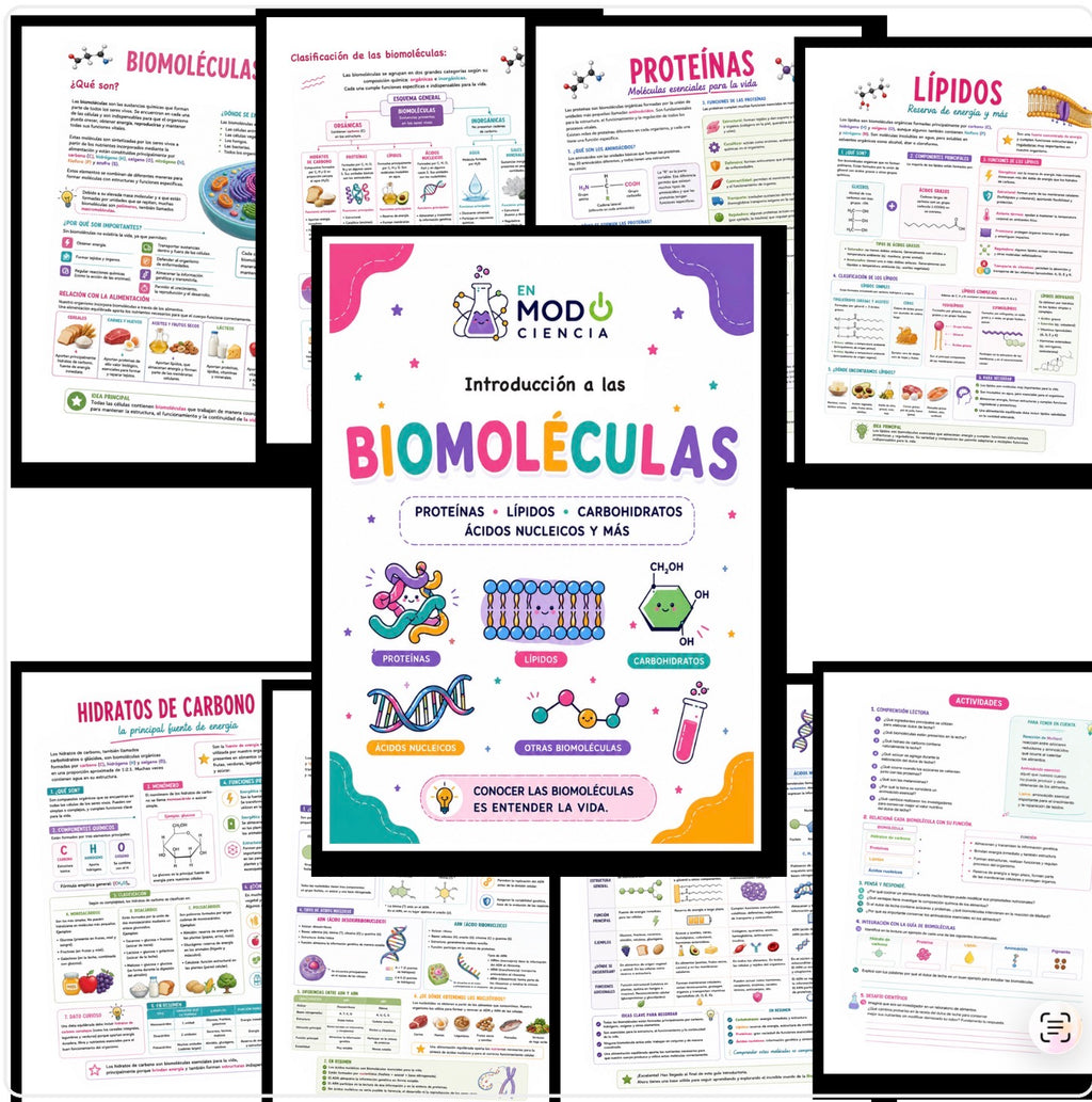INTRODUCCIÓN A LAS BIOMOLÉCULAS- GUÍA TEÓRICA/PRÁCTICA